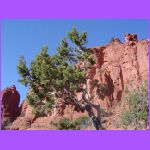 Sedona Rocks 4.jpg